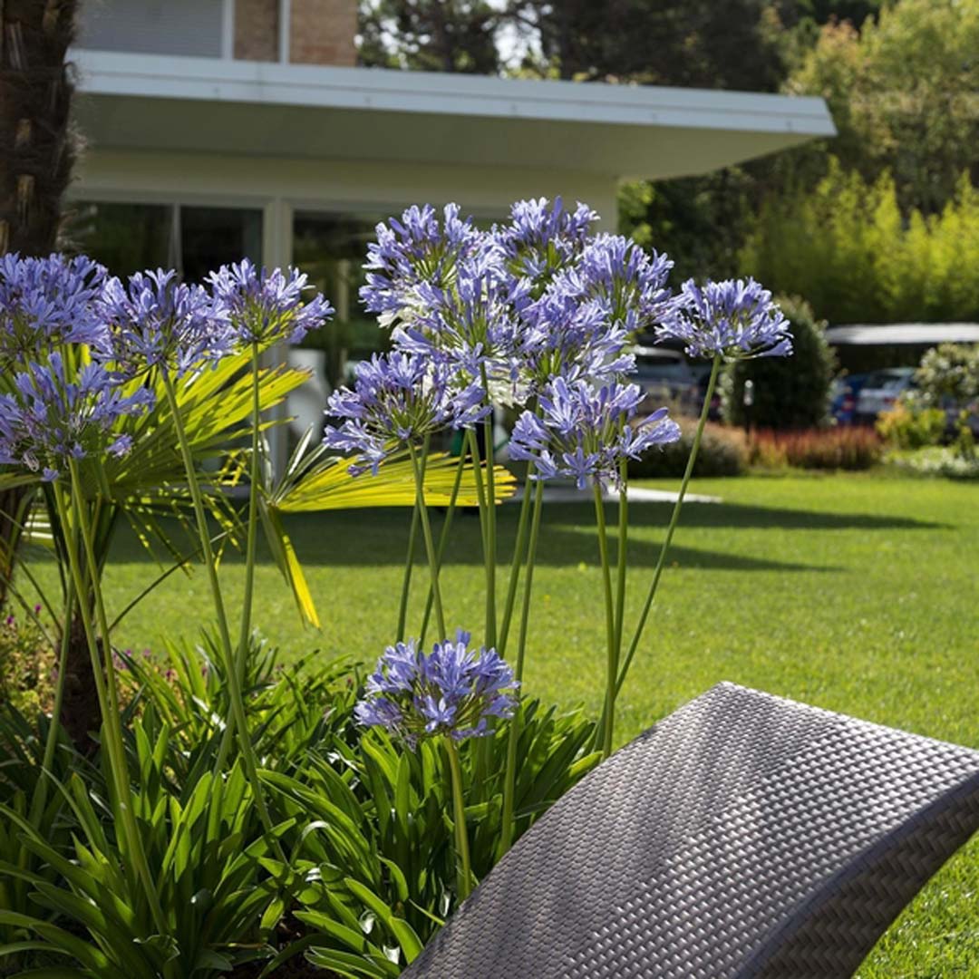 Hotel San Marco Pineda Garten 68594 1